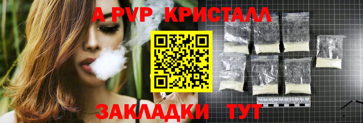Альфа ПВП крисы CK  Вход с VPN  Краснознаменск  Альфа ПВП СК 