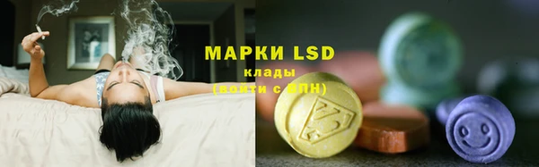 кокс Алзамай