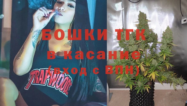 амф Алексин