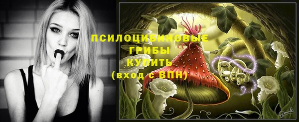 амф Алексин