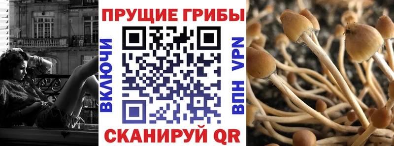 Псилоцибиновые грибы Psilocybine cubensis  omg маркетплейс  Краснознаменск 